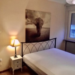 Ga4 « Étincelles»