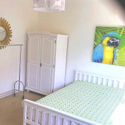 Ga5  « Le Perrroquet »