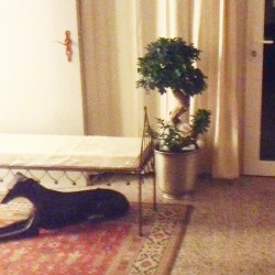 St11 Studio11  « Mr Happy »